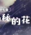 奇迹暖暖联盟17-1神秘的花园怎么搭配（奇迹暖暖神秘的森林）