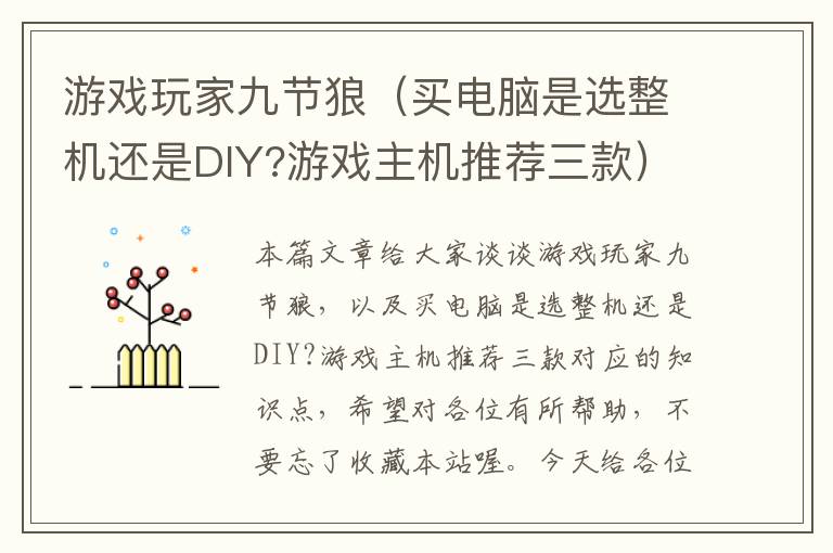 游戏玩家九节狼（买电脑是选整机还是DIY?游戏主机推荐三款）