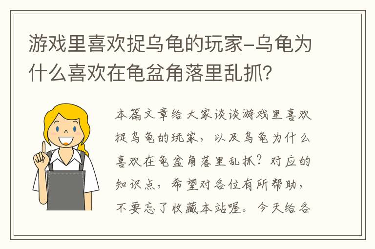 游戏里喜欢捉乌龟的玩家-乌龟为什么喜欢在龟盆角落里乱抓？