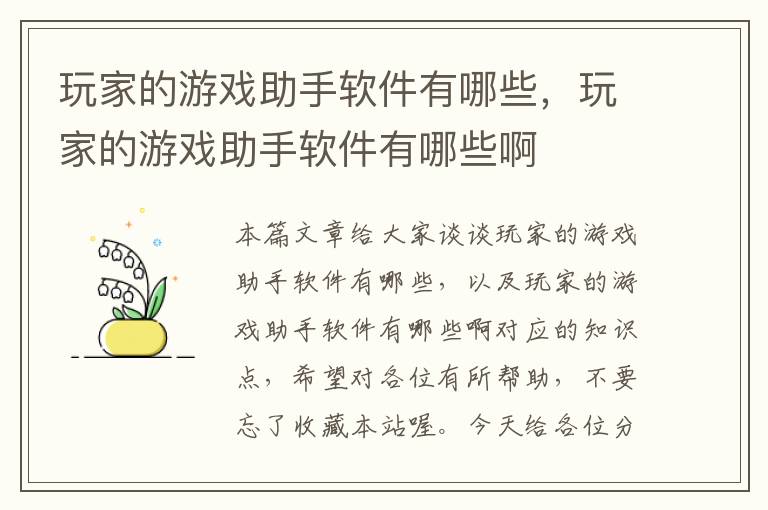 玩家的游戏助手软件有哪些，玩家的游戏助手软件有哪些啊