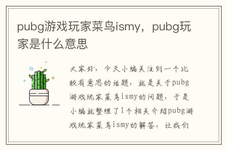 pubg游戏玩家菜鸟ismy，pubg玩家是什么意思