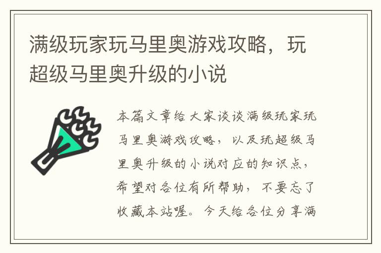 满级玩家玩马里奥游戏攻略，玩超级马里奥升级的小说