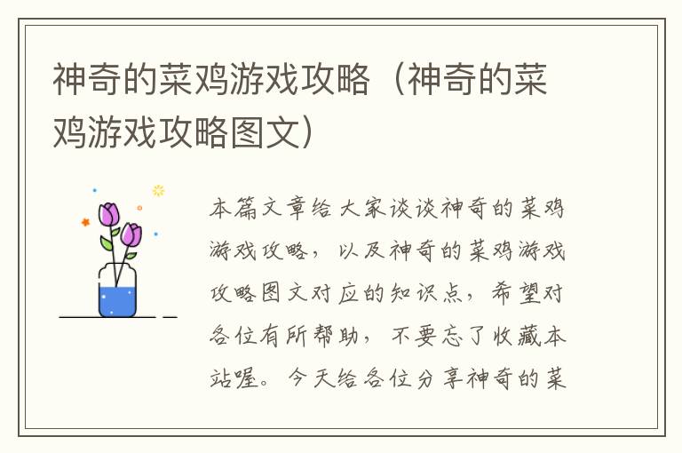 神奇的菜鸡游戏攻略（神奇的菜鸡游戏攻略图文）