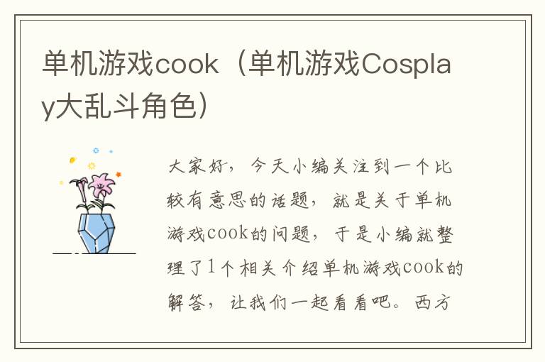 单机游戏cook（单机游戏Cosplay大乱斗角色）