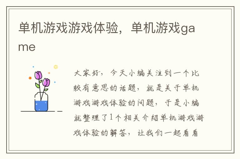 单机游戏游戏体验，单机游戏game