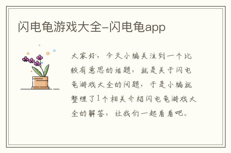 闪电龟游戏大全-闪电龟app