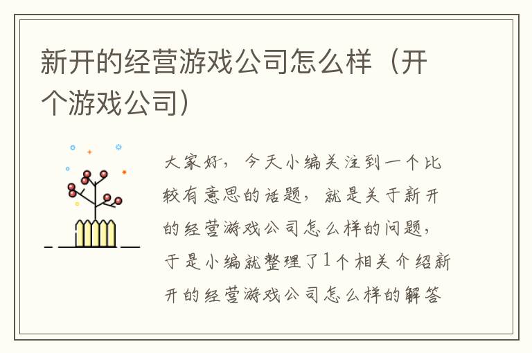 新开的经营游戏公司怎么样（开个游戏公司）