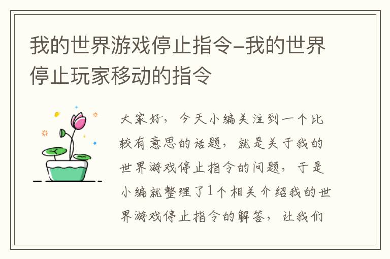 我的世界游戏停止指令-我的世界停止玩家移动的指令